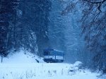 M�sto : Nove LosinyDatum : 10.01.2026